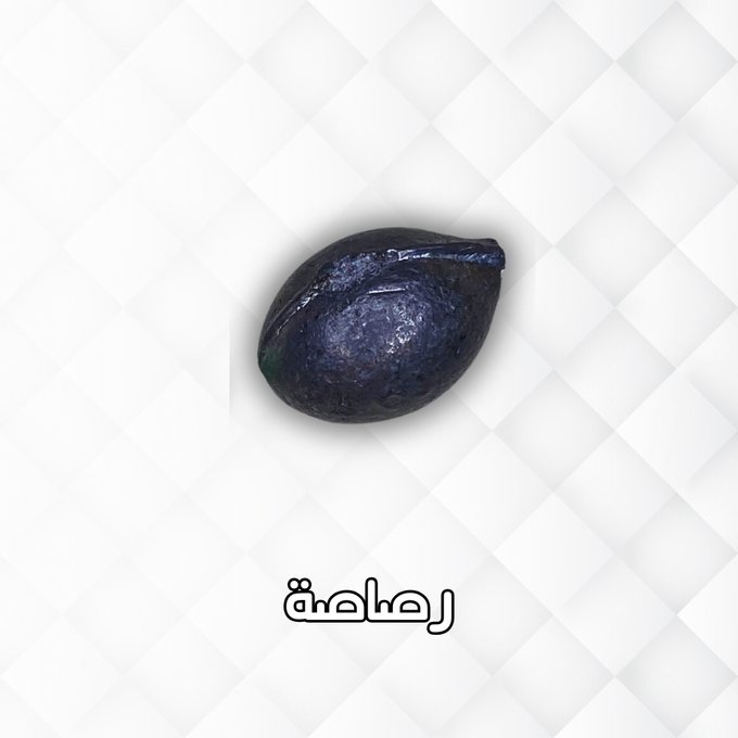 ✅أحدث صنارة صيد الأسماك